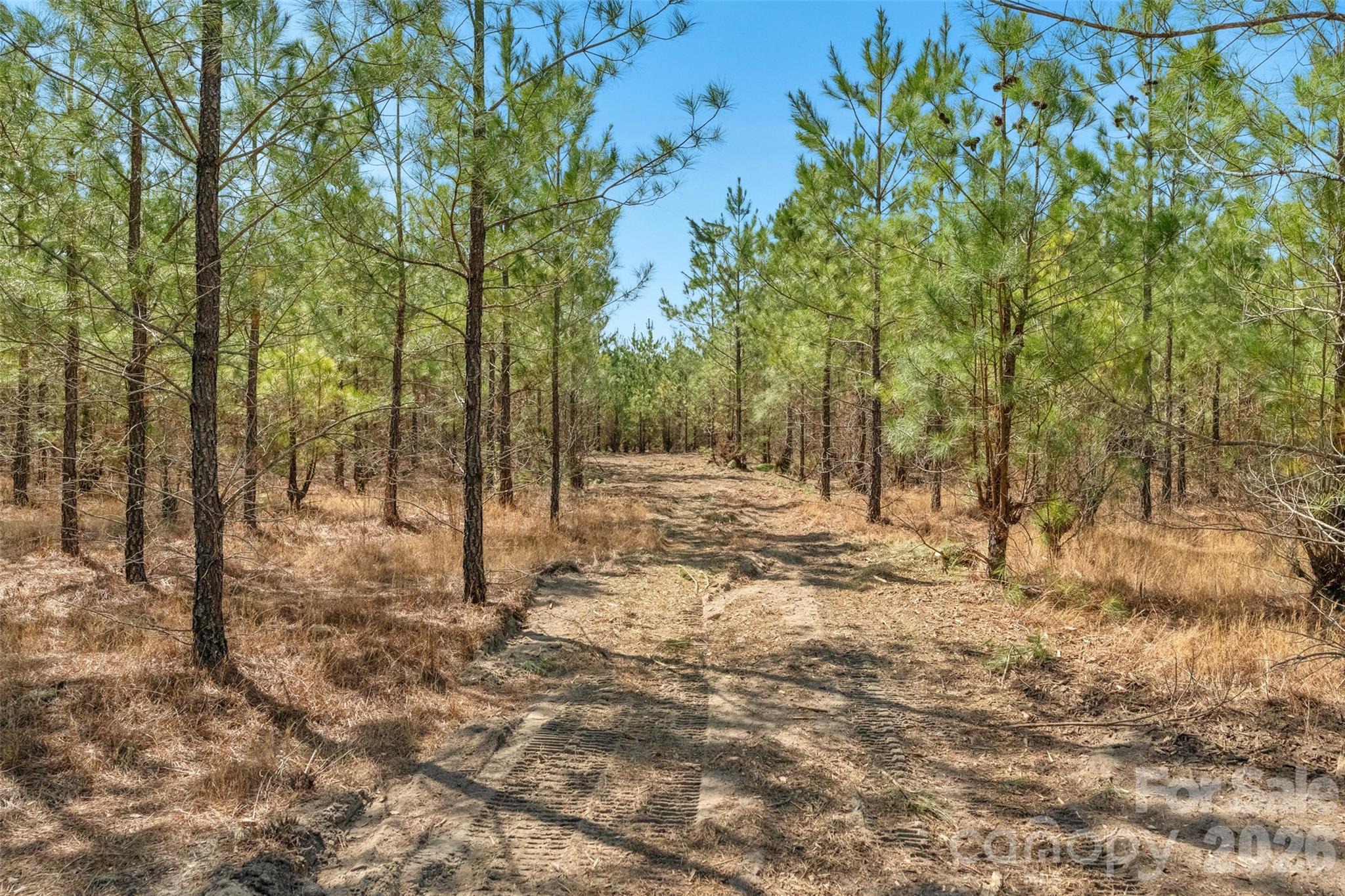 931 Charlie Johnson Road, Unit 2 Kershaw, SC 29067 - Photo 32 of 35