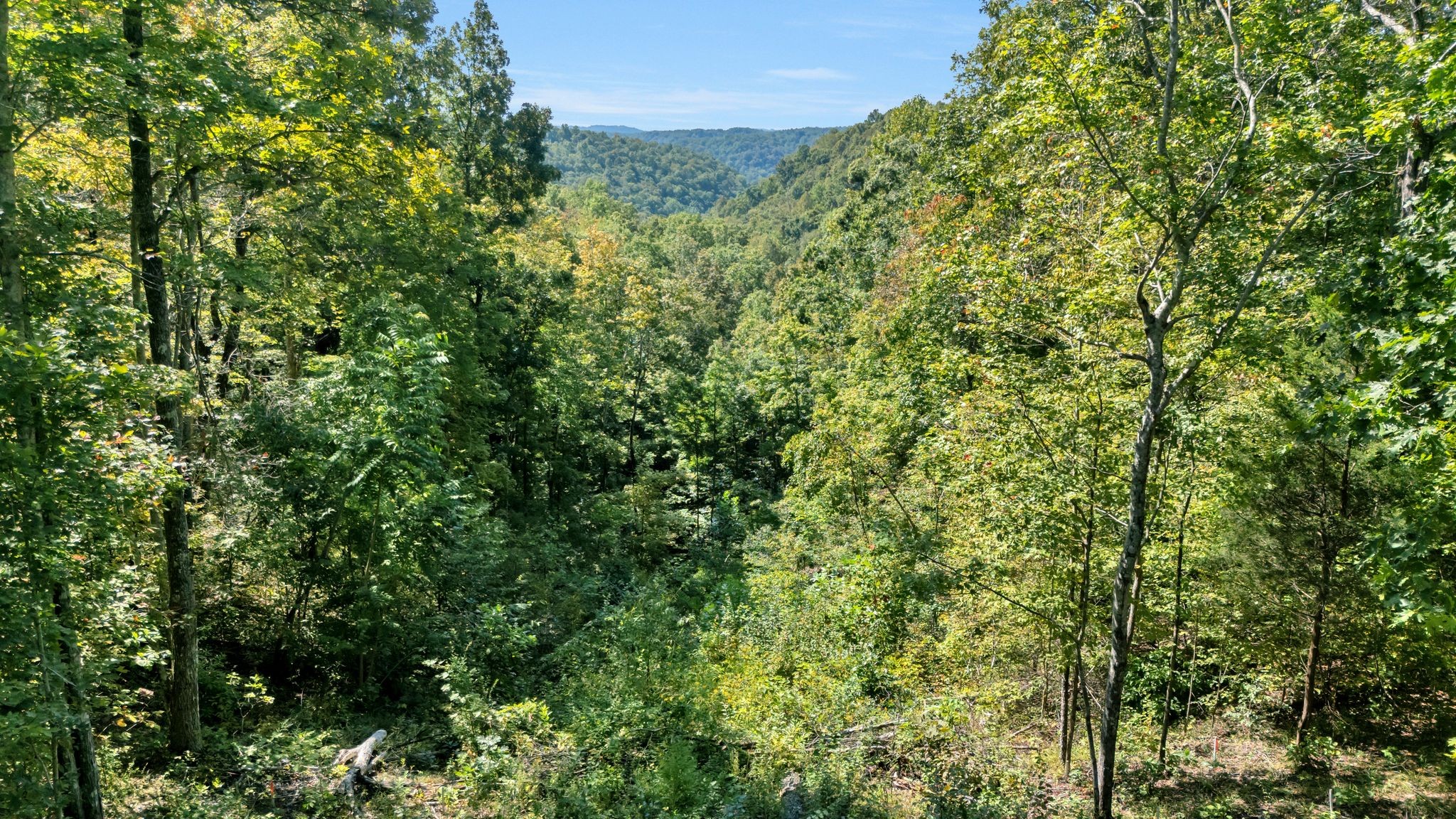 0 Wet Mill Creek Road Celina, TN 38551 - Photo 54 of 54