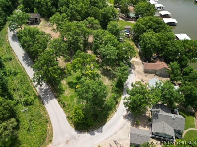 Friar Tuck Drive Roach, MO 65787 - Photo 1 of 1