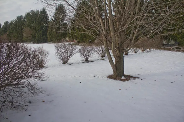 $234,900 | 115 Dogwood Circle, Dowagiac, MI 49047