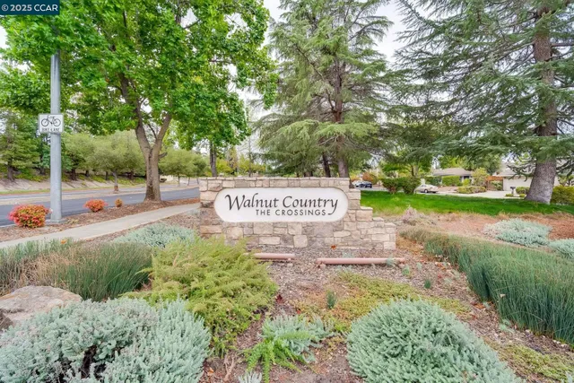 a view of a park with large trees