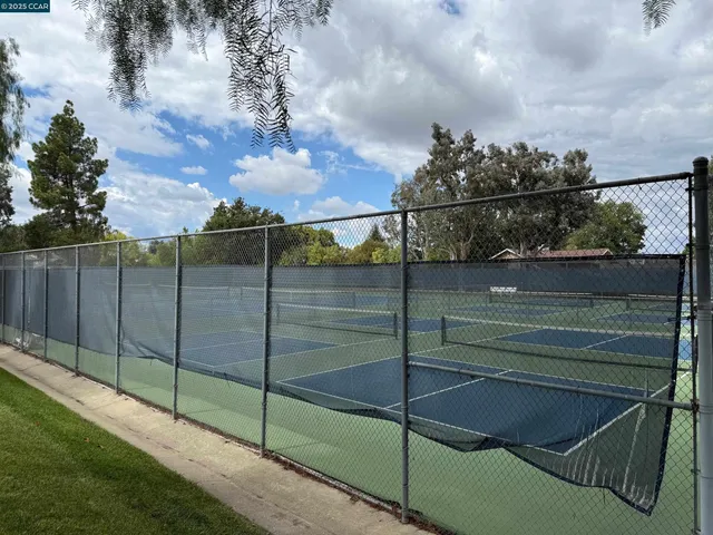 a view of a park and trees
