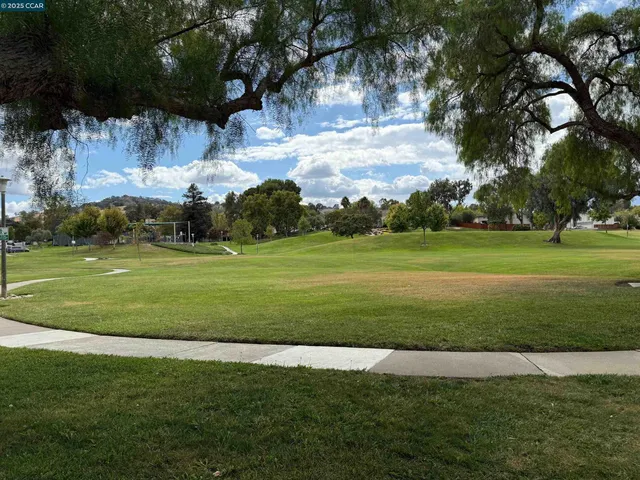 a view of a park with furniture