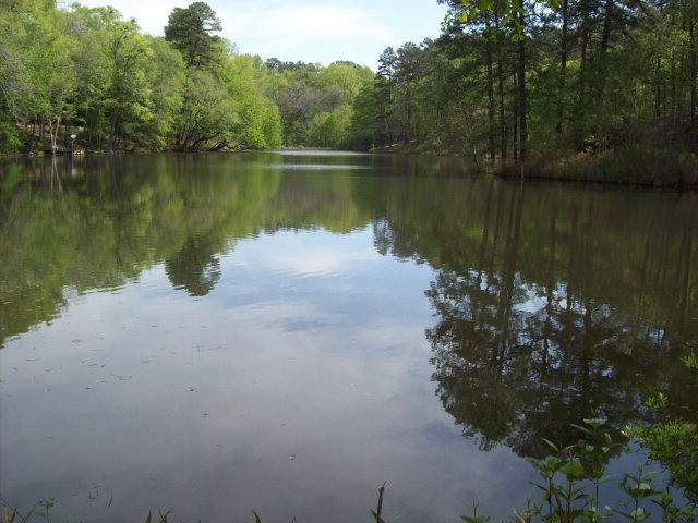 0 Beaver Branch Road Aiken, SC 29801 - Photo 1 of 1 Gallery Image 1