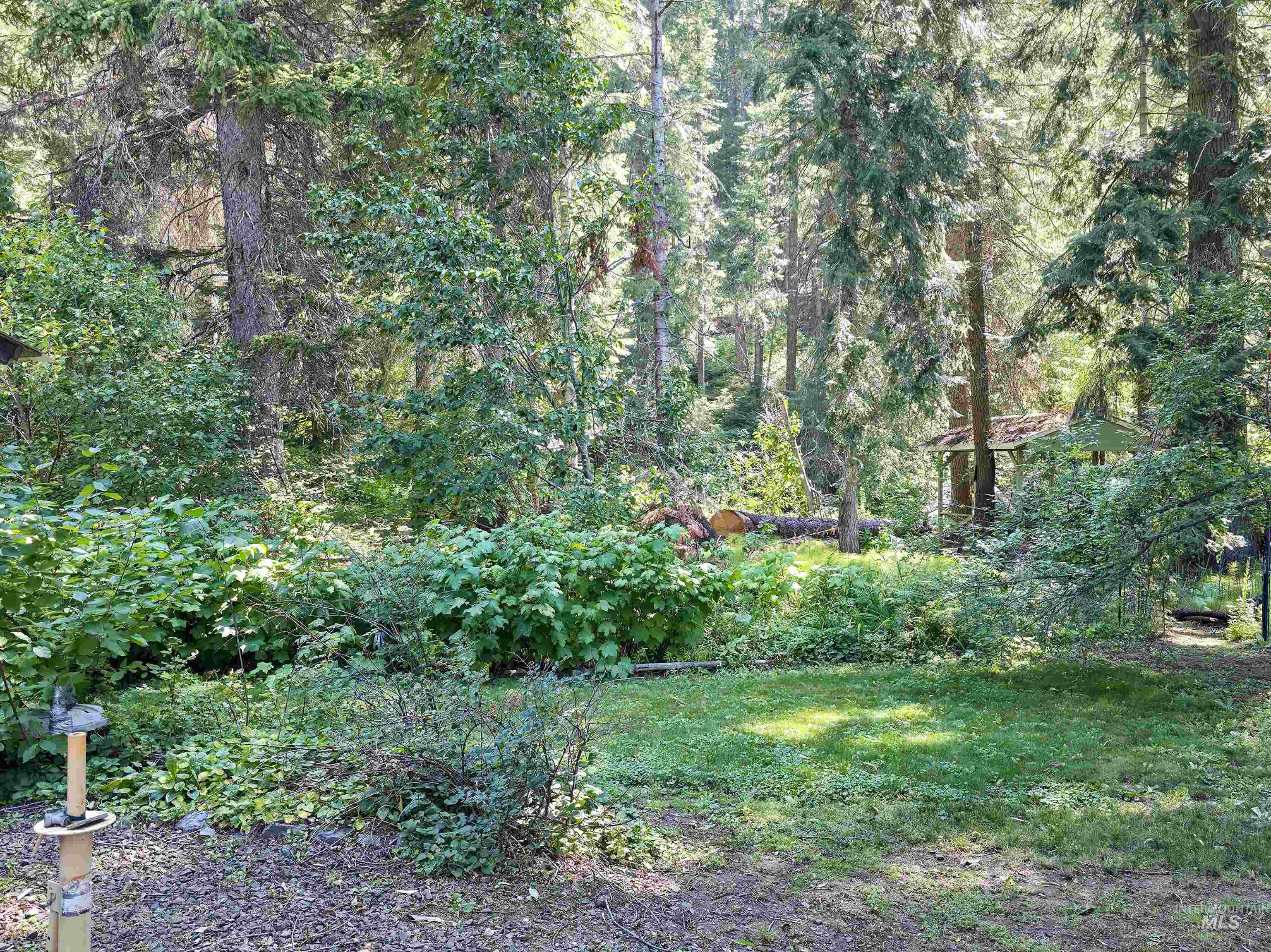 4482 Council Cuprum Road Council, ID 83612 - Photo 40 of 45 View of grassy yard with a wooded view