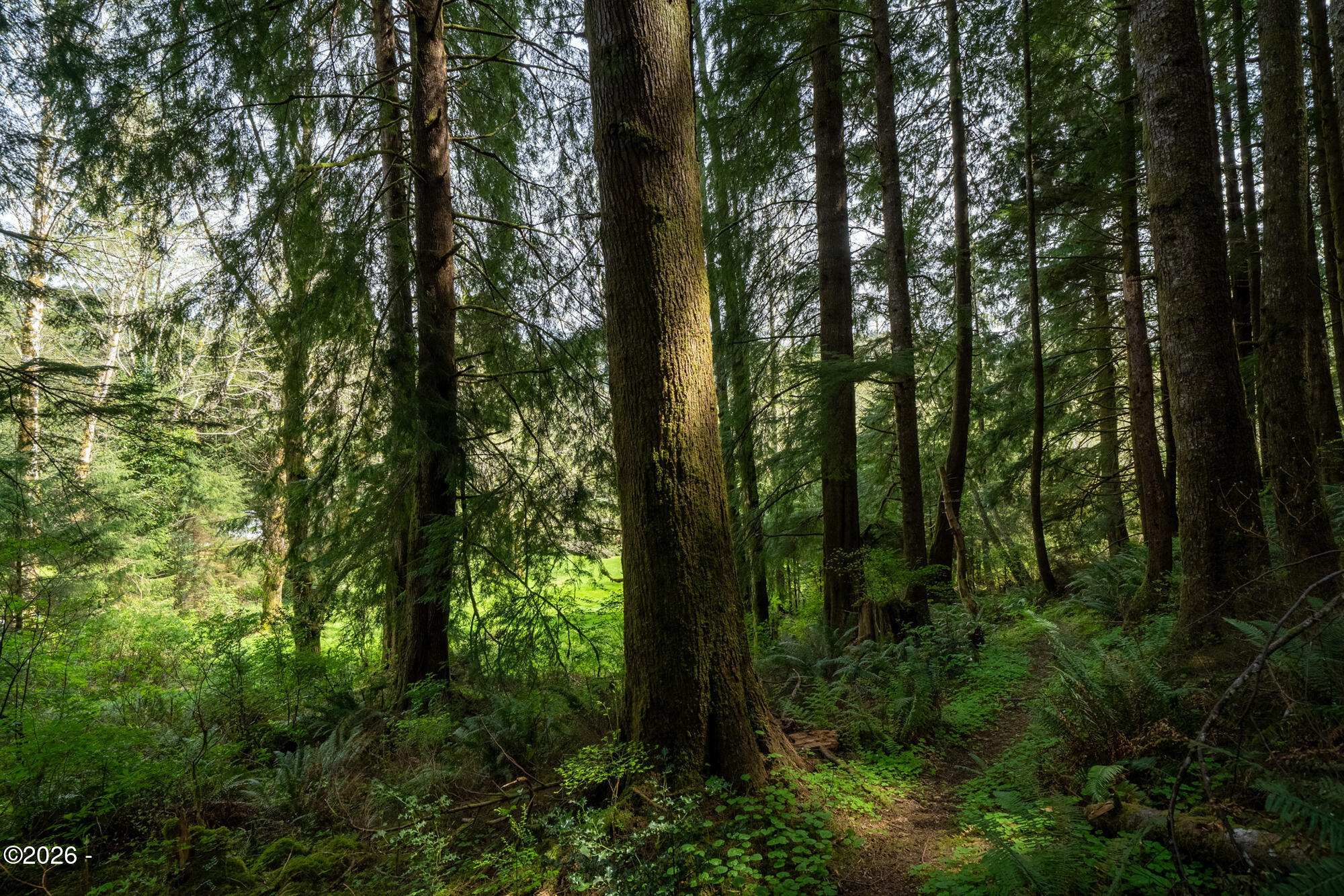 22800 Miami Foley Road Nehalem, OR 97131 - Photo 7 of 50 68_dsc09863-hdr
