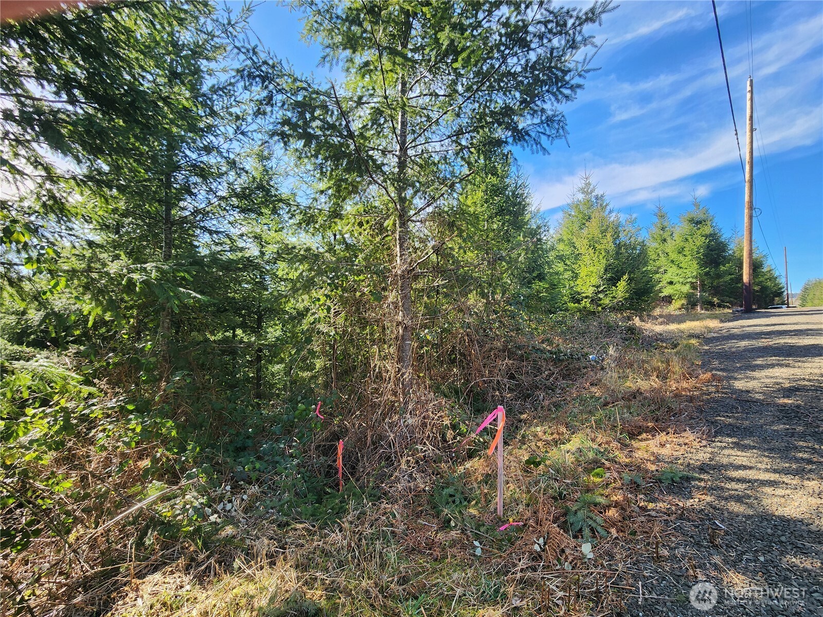 27 Foreman Road McCleary, WA 98557 - Photo 11 of 12 a flag view