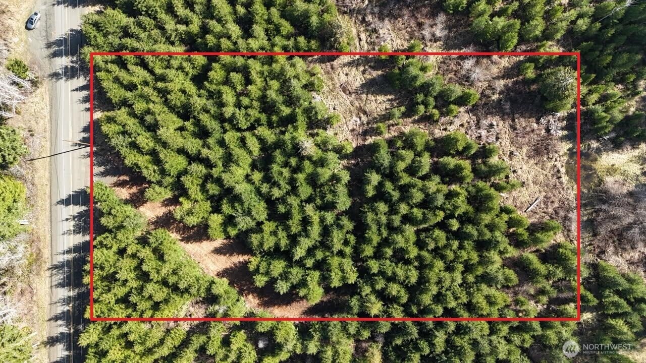 27 Foreman Road McCleary, WA 98557 - Photo 2 of 12