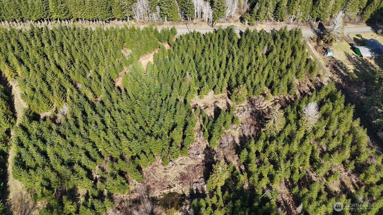 27 Foreman Road McCleary, WA 98557 - Photo 3 of 12 a view of a garden