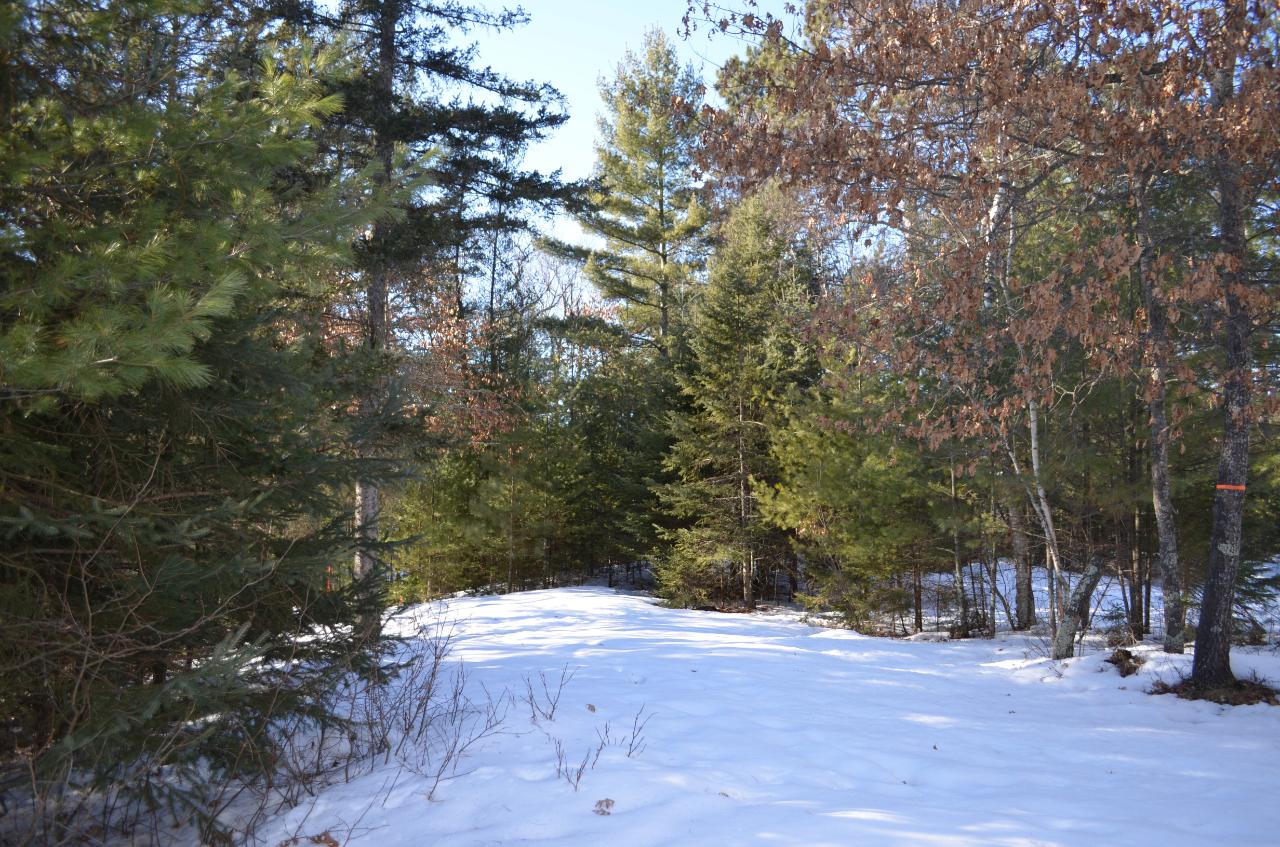 Lot 8 Point O Pines Road Tomahawk, WI 54487 - Photo 6 of 20 Gallery Image 6