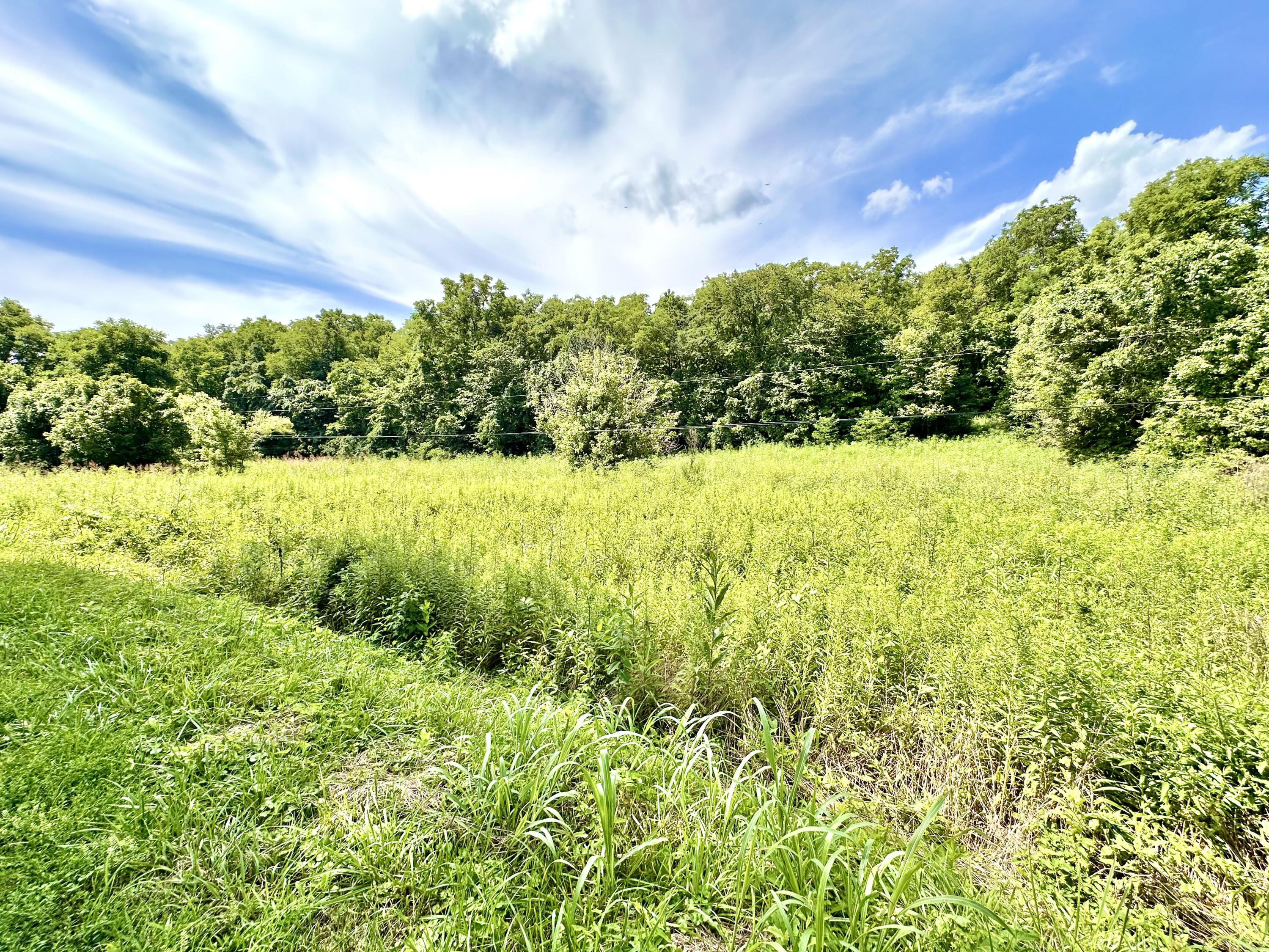 839 Saltwell Road Carlisle, KY 40311 - Photo 12 of 20 IMG_2123