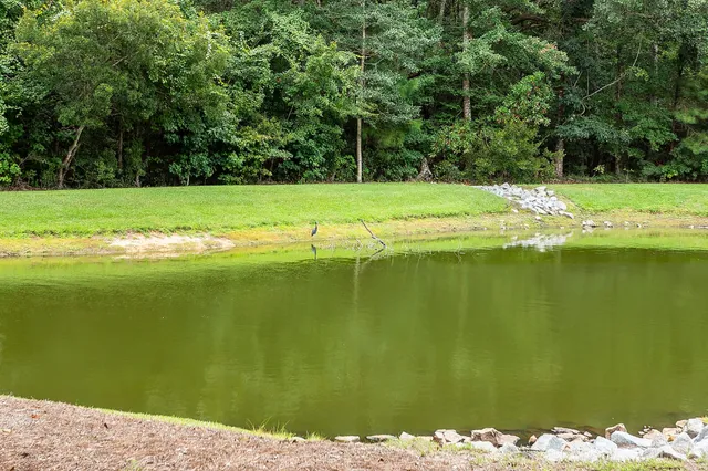 $735,000 | 3912 Hanoverian Drive, Mount Pleasant, SC 29429