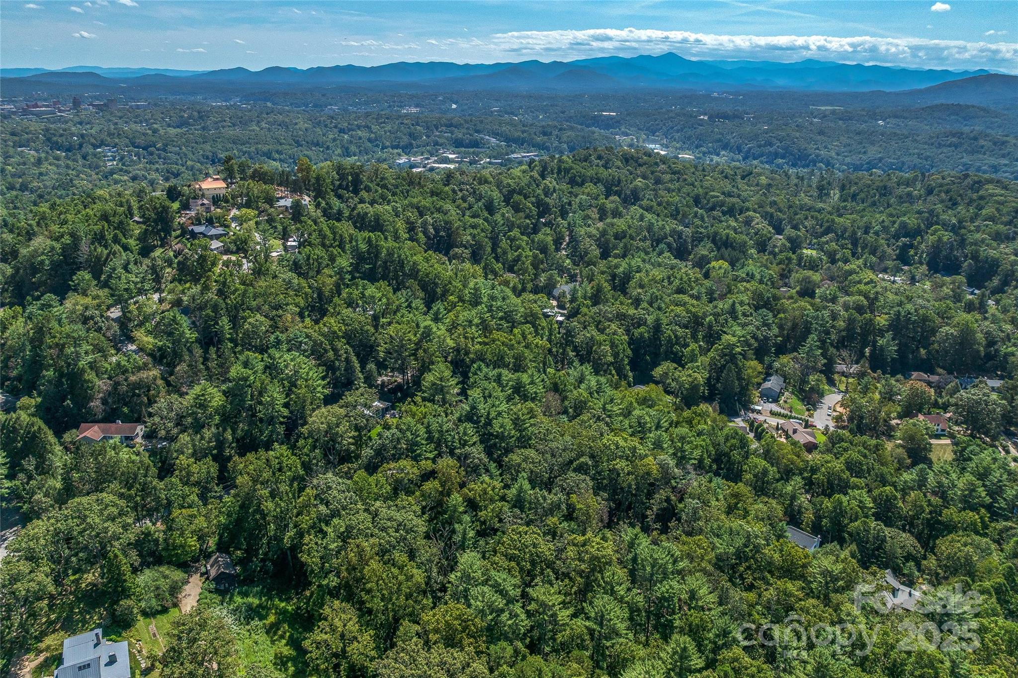 5 Horizon Hill Road Asheville, NC 28804 - Photo 14 of 42 a view of a city with lush green forest