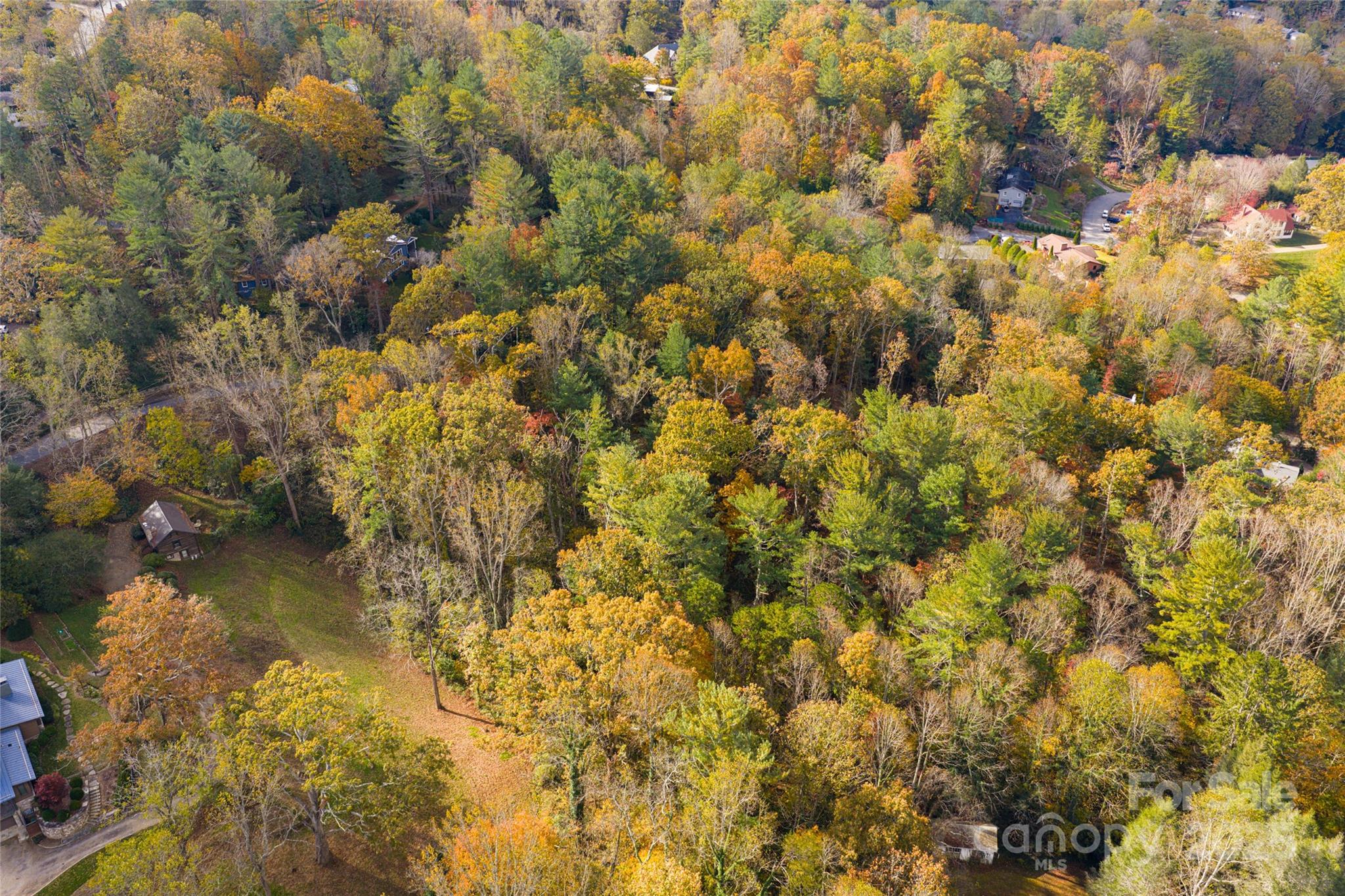 5 Horizon Hill Road Asheville, NC 28804 - Photo 15 of 42 a view of a lake view
