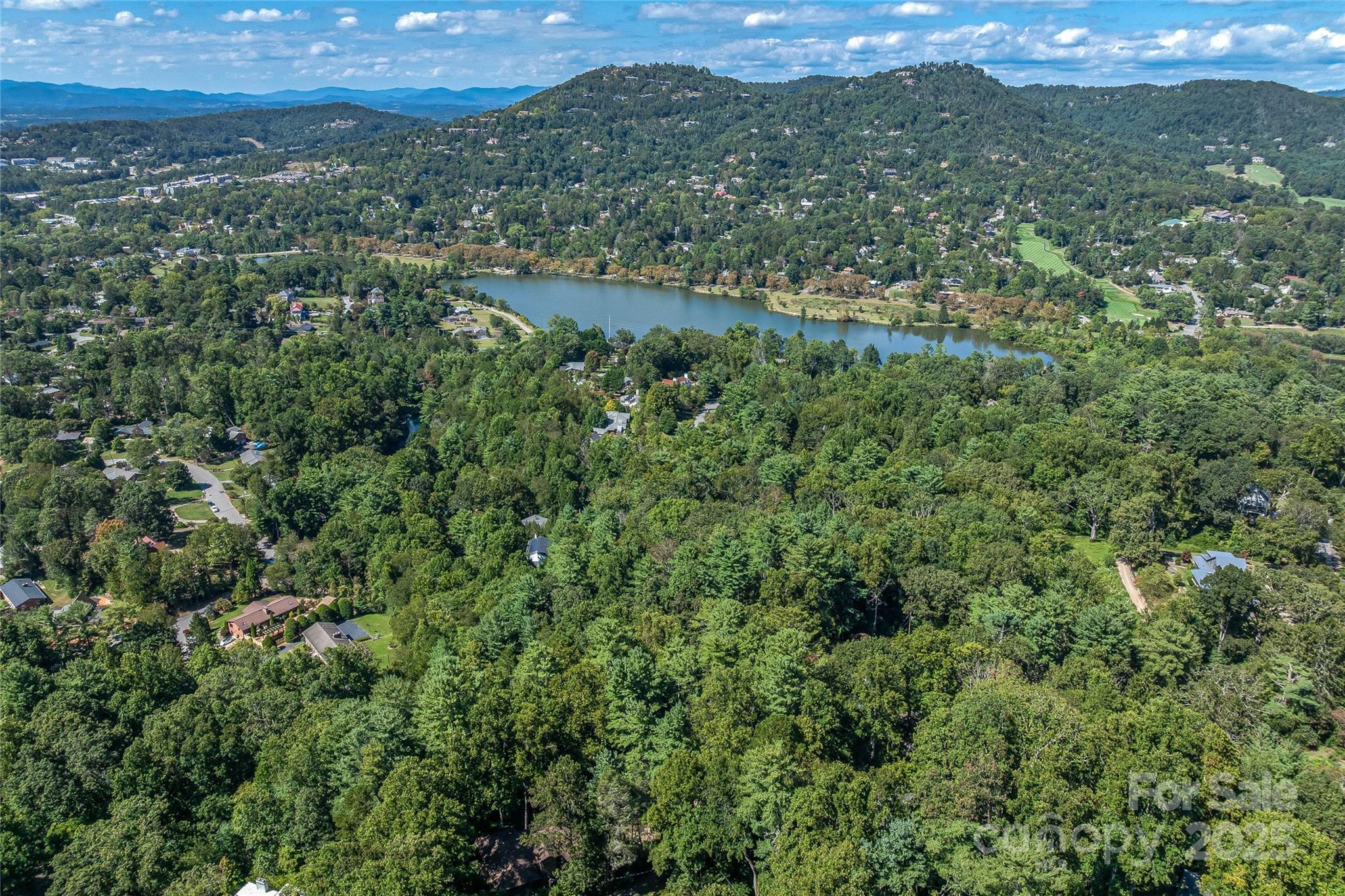 5 Horizon Hill Road Asheville, NC 28804 - Photo 18 of 42 an aerial view of residential houses with outdoor space and trees