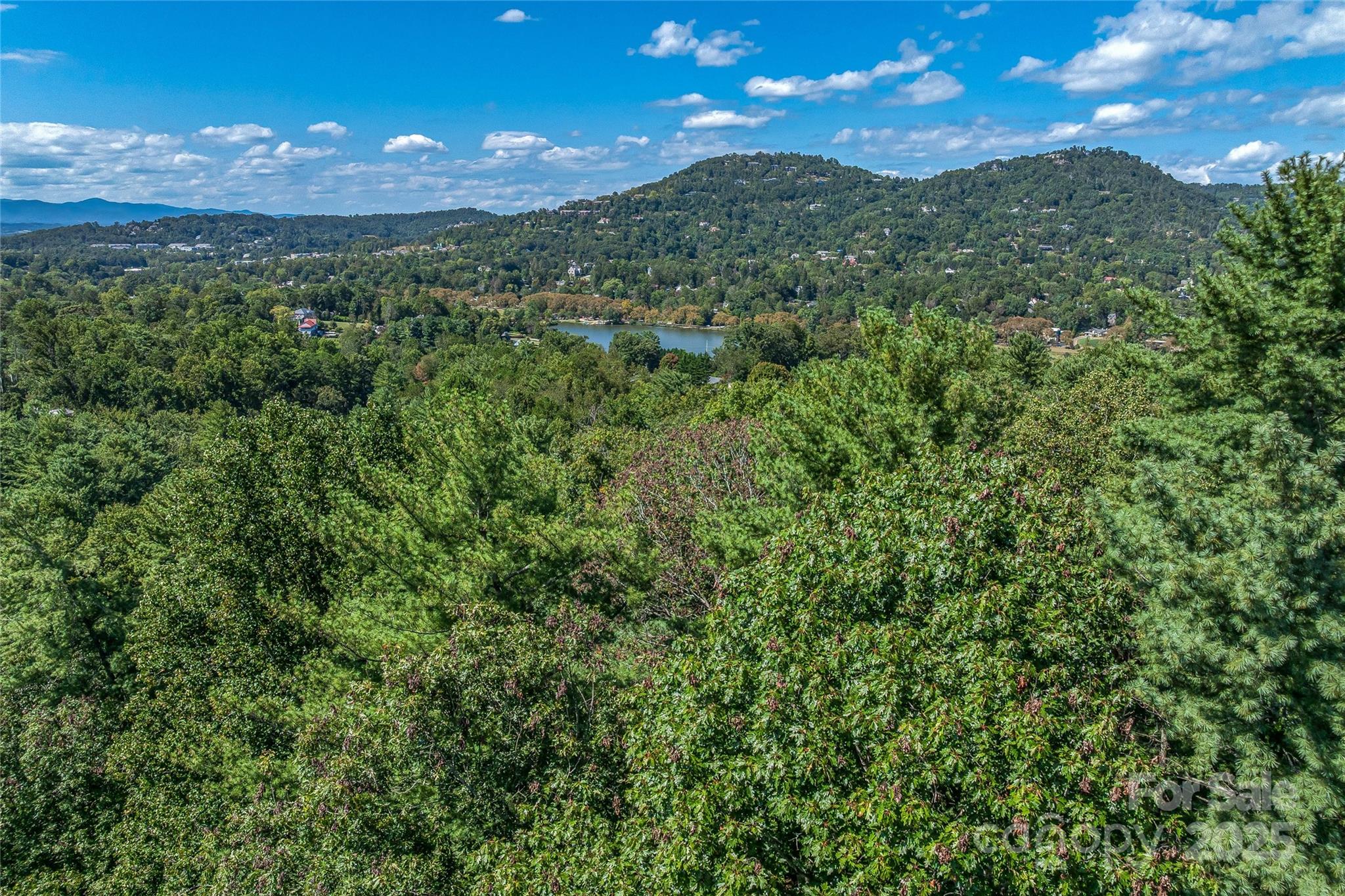 5 Horizon Hill Road Asheville, NC 28804 - Photo 20 of 42 a view of a city with a mountain