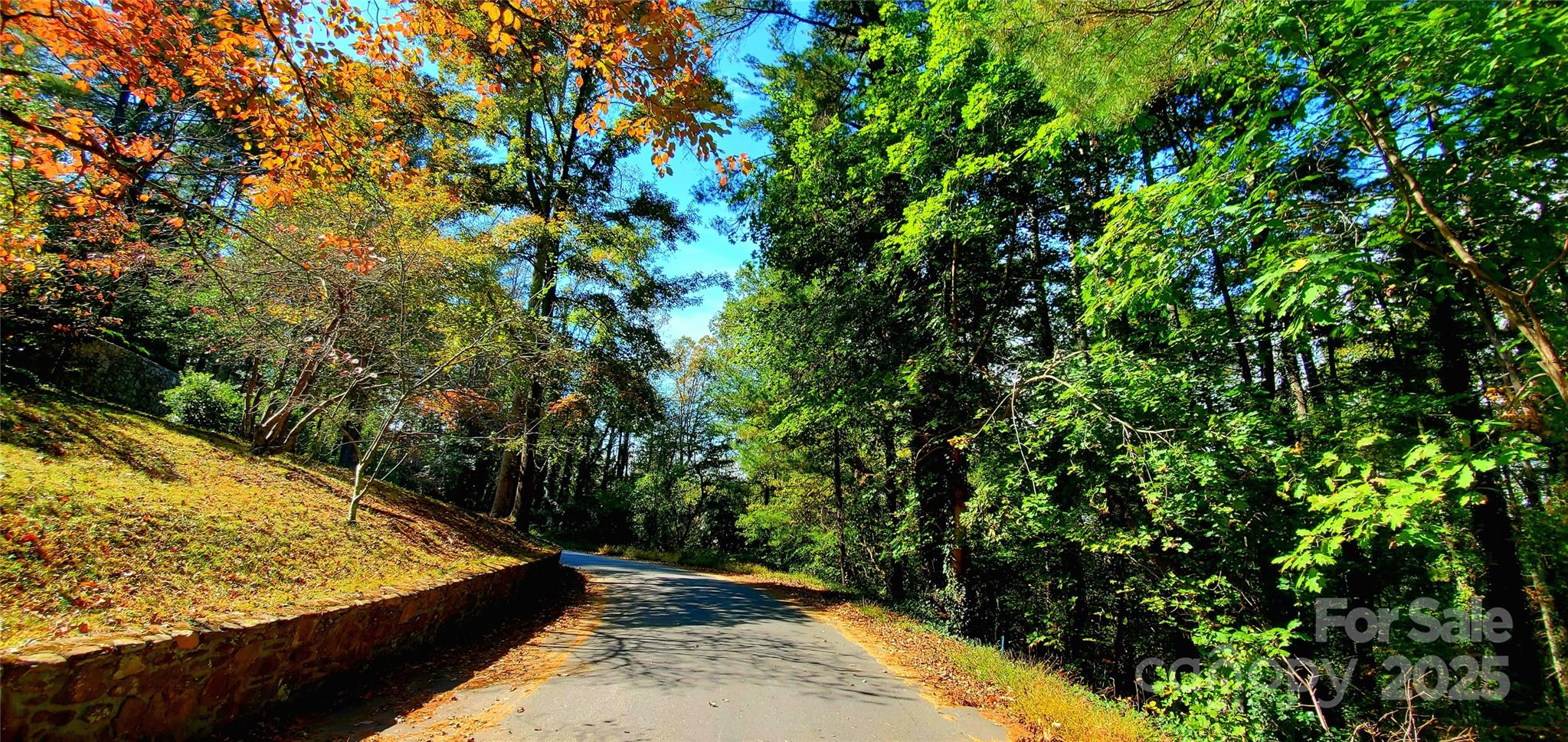 5 Horizon Hill Road Asheville, NC 28804 - Photo 2 of 42 a view of a backyard