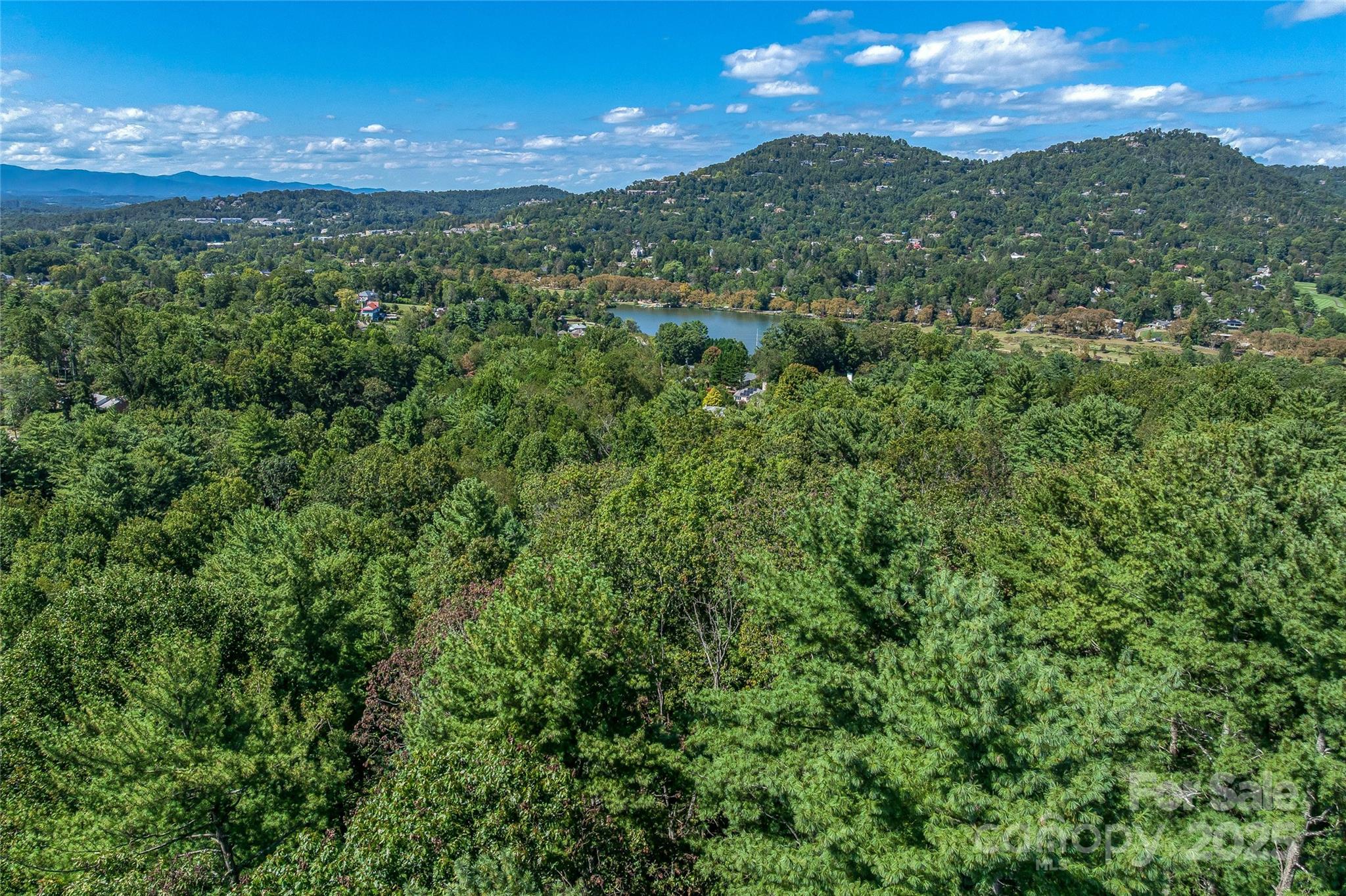 5 Horizon Hill Road Asheville, NC 28804 - Photo 21 of 42 a view of a city with lush green forest