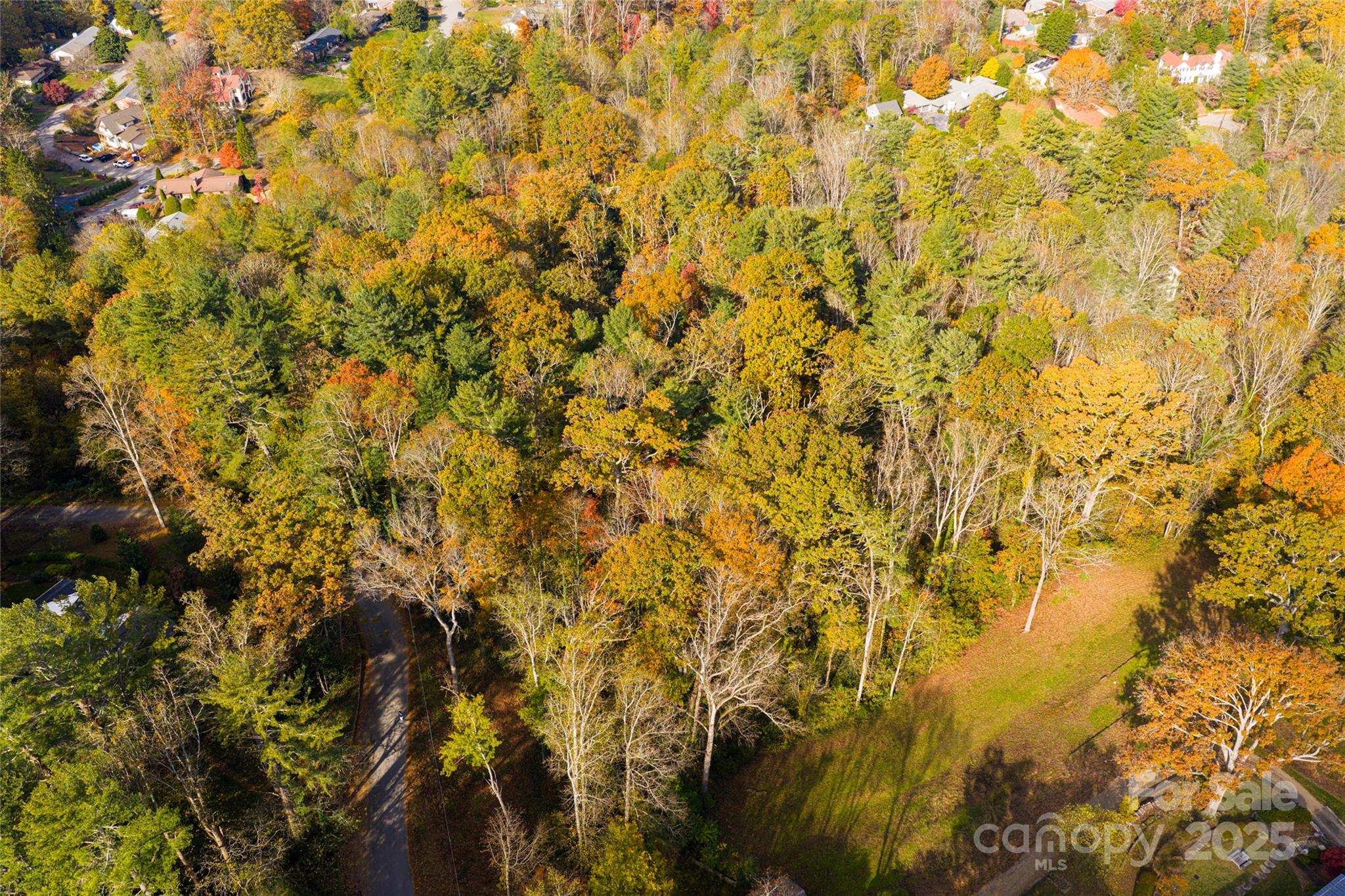 5 Horizon Hill Road Asheville, NC 28804 - Photo 25 of 42 a view of a yard