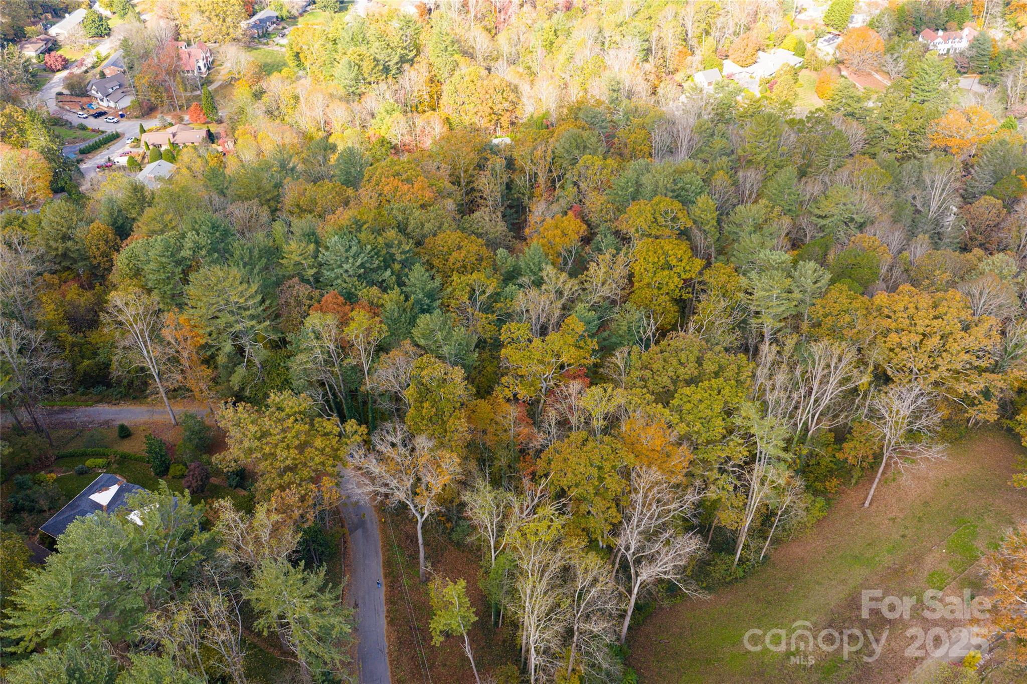 5 Horizon Hill Road Asheville, NC 28804 - Photo 26 of 42