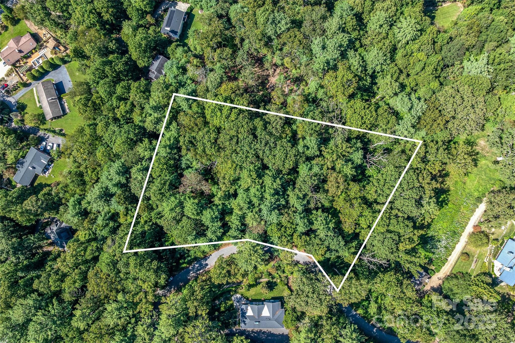 5 Horizon Hill Road Asheville, NC 28804 - Photo 28 of 42 a view of a yard