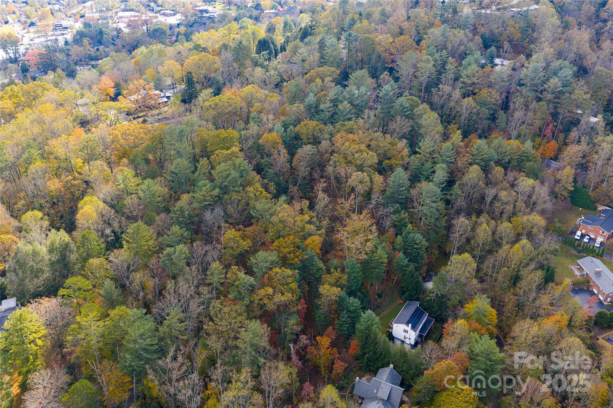 5 Horizon Hill Road Asheville, NC 28804 - Photo 29 of 42