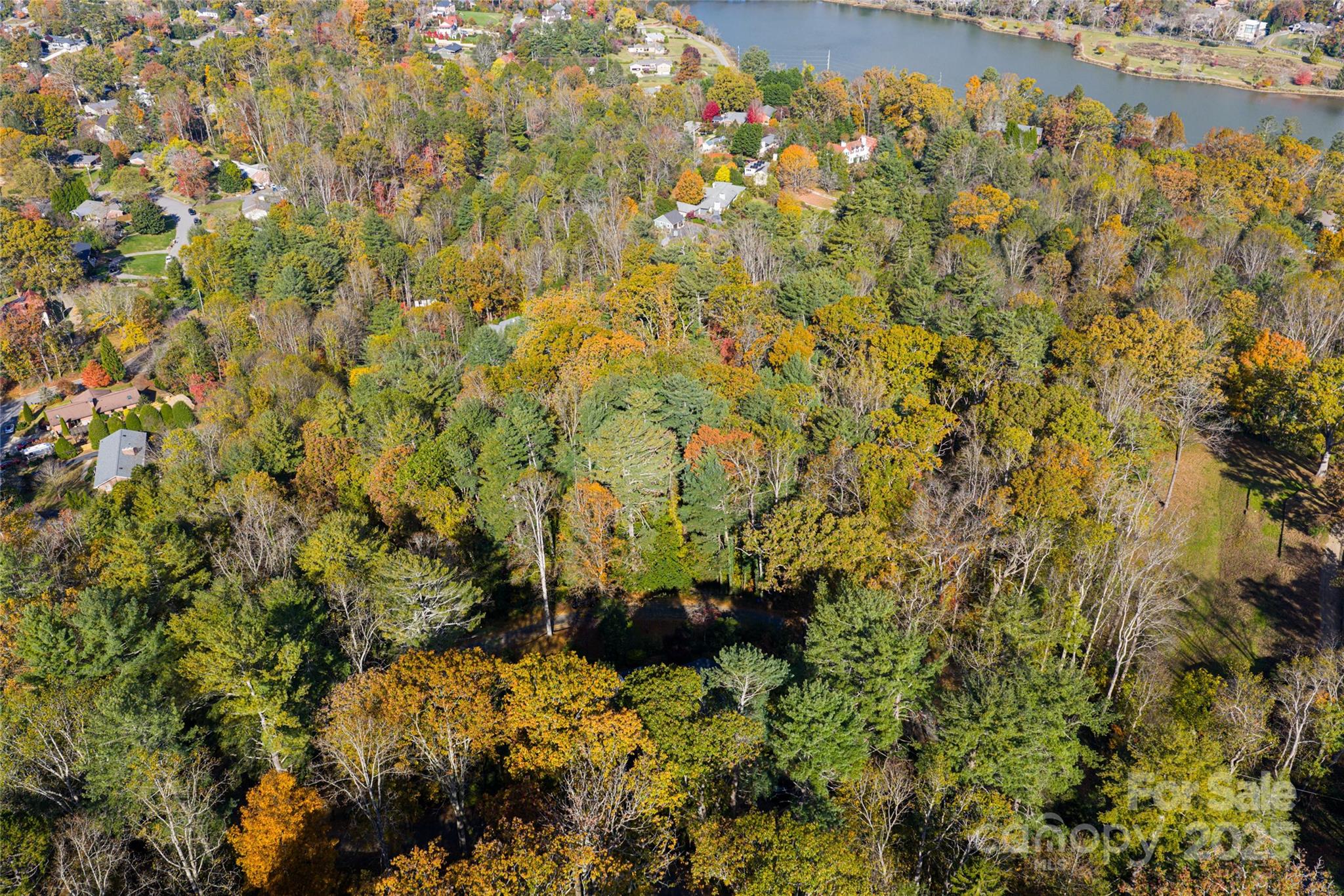 5 Horizon Hill Road Asheville, NC 28804 - Photo 30 of 42 a view of a plants