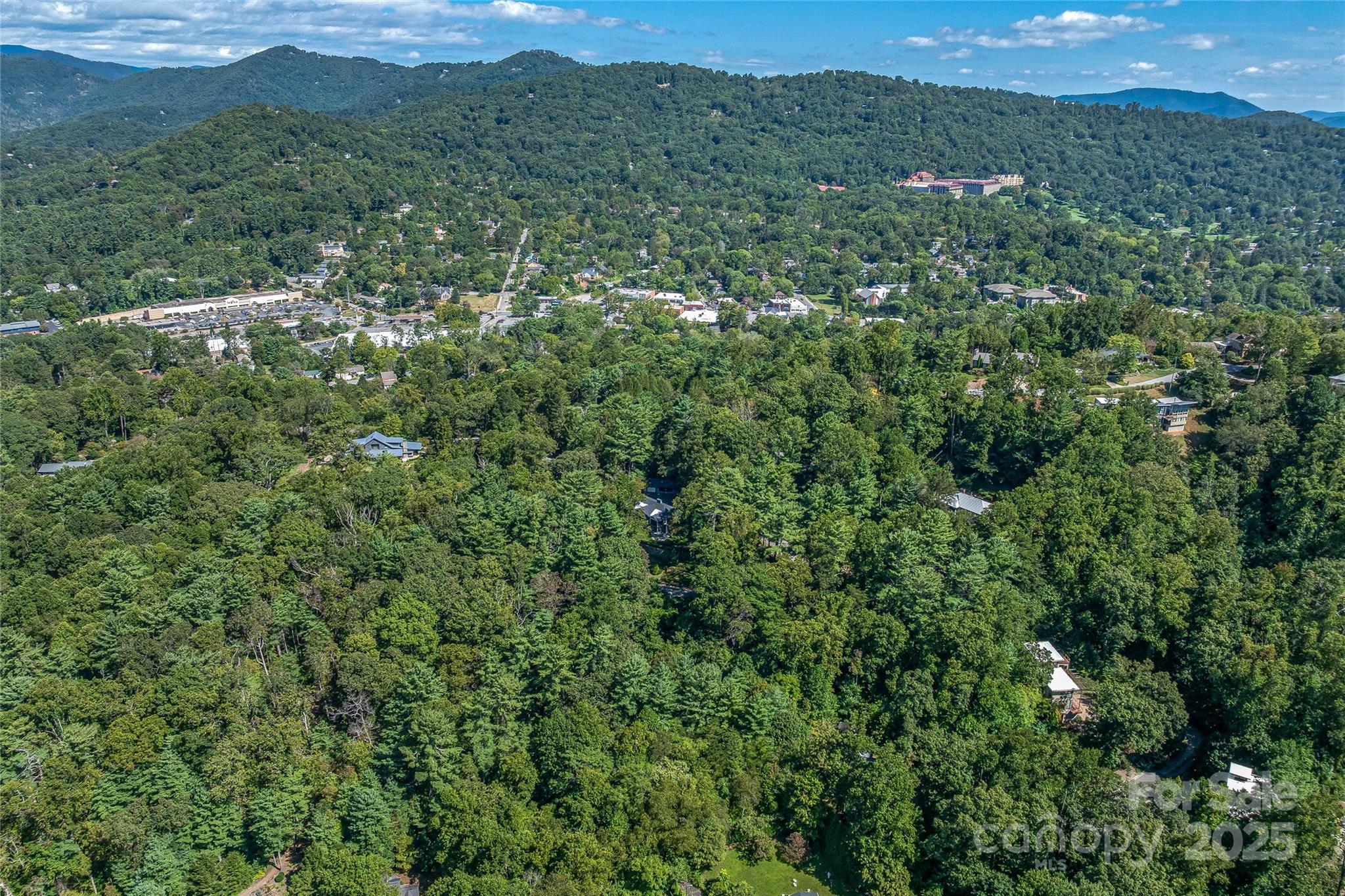 5 Horizon Hill Road Asheville, NC 28804 - Photo 36 of 42 a view of a forest with a street