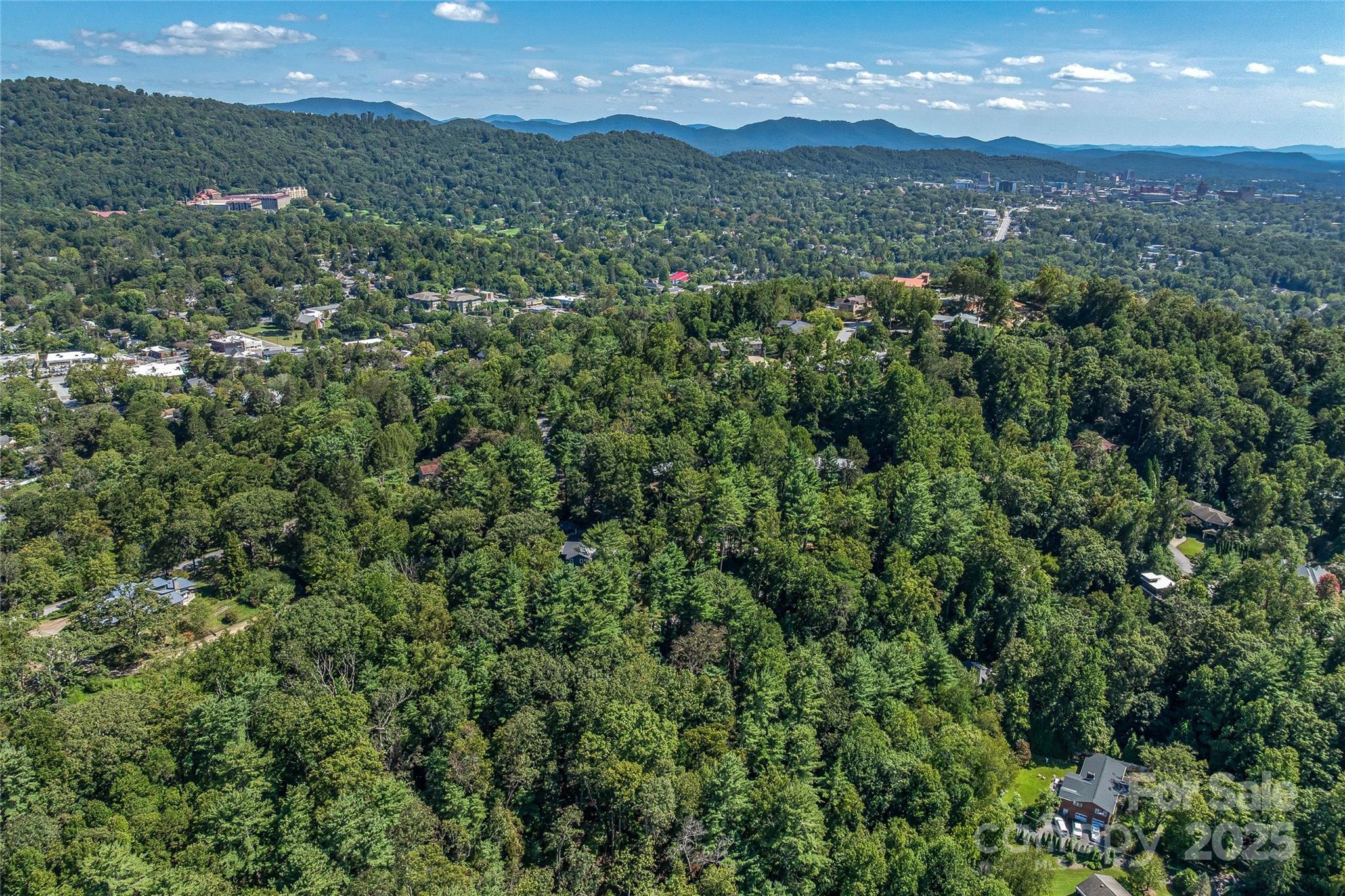 5 Horizon Hill Road Asheville, NC 28804 - Photo 40 of 42 a view of a city and mountains