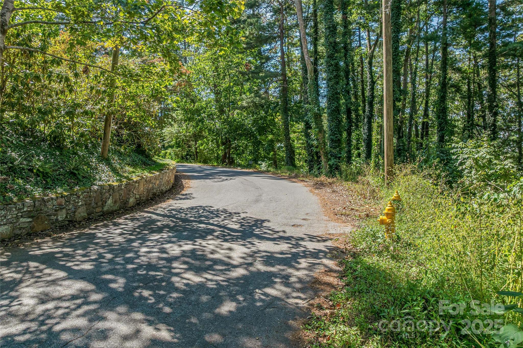 5 Horizon Hill Road Asheville, NC 28804 - Photo 42 of 42 a view of a yard with plants and large trees