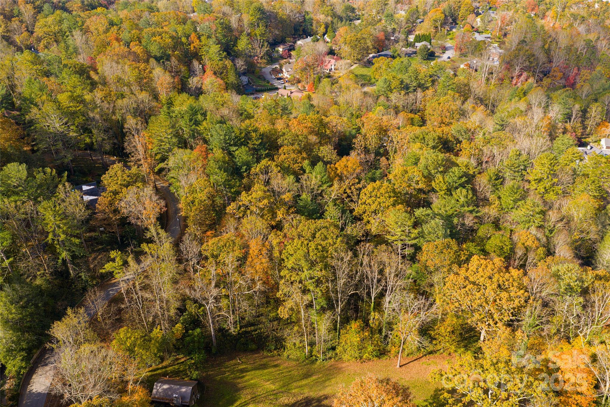 5 Horizon Hill Road Asheville, NC 28804 - Photo 7 of 42 a view of a yard