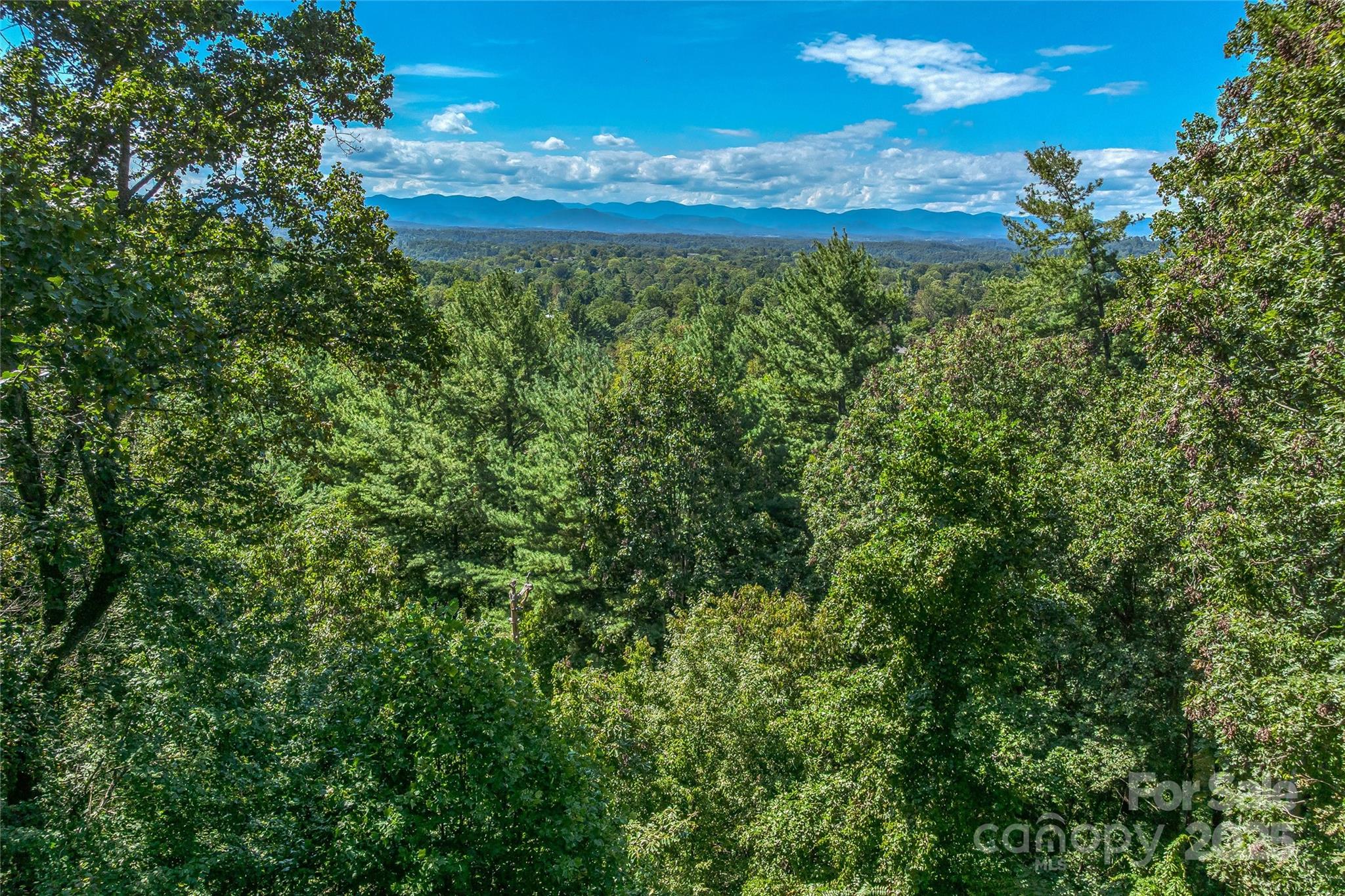 5 Horizon Hill Road Asheville, NC 28804 - Photo 10 of 42 a view of a flower in a garden