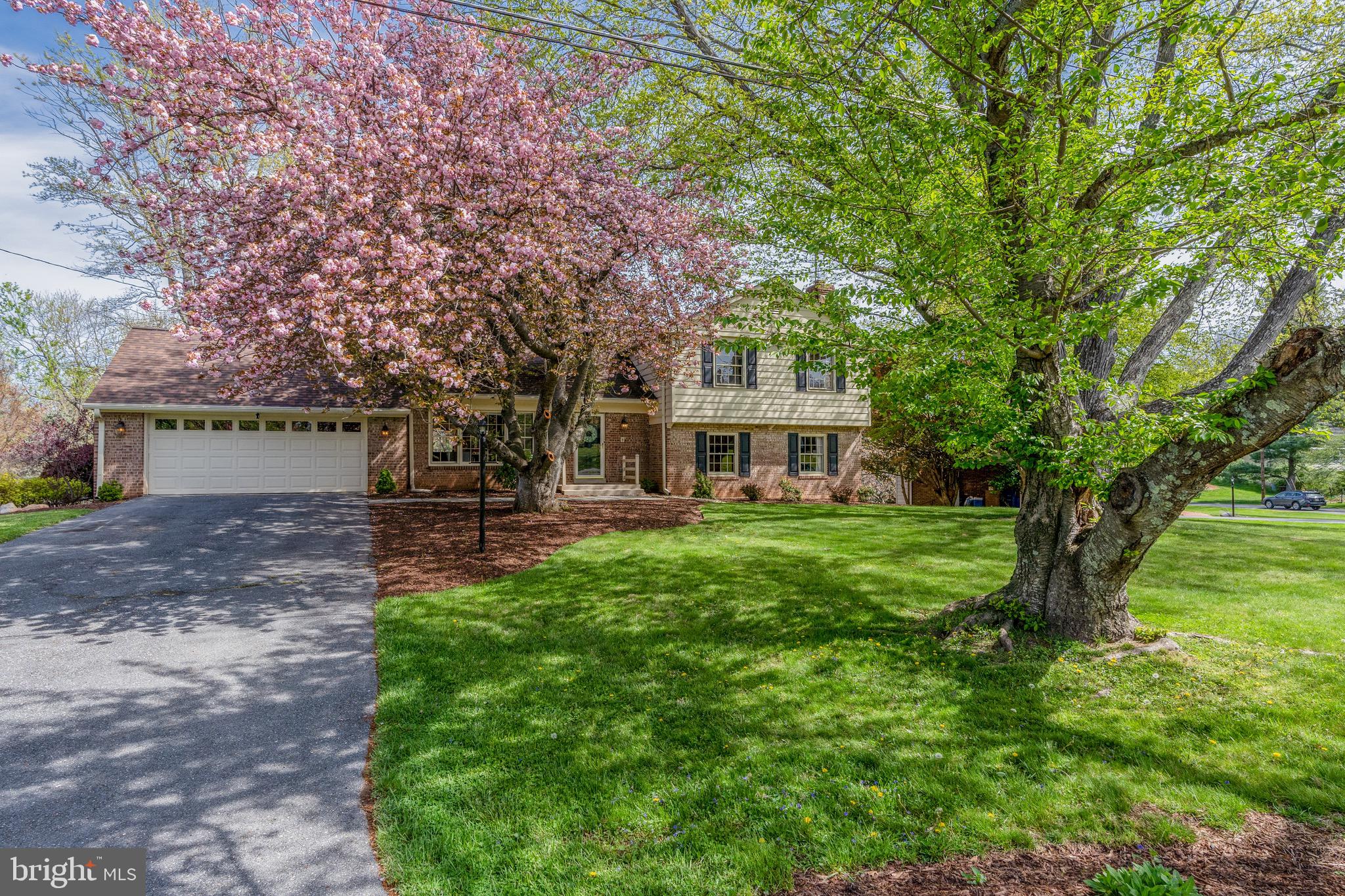 13213 Old Forge Road Silver Spring, MD 20904 - Photo 2 of 50 Gorgeous Cherry Blossom