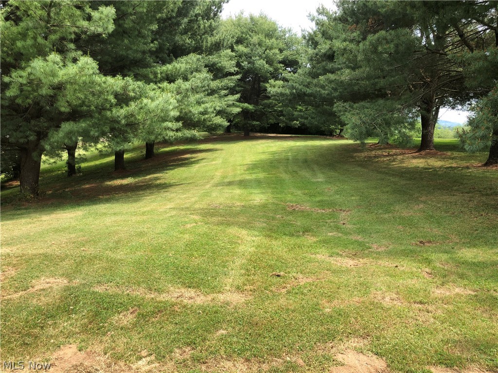 63333 Johnson North Road Bethesda, OH 43719 - Photo 32 of 35 OVER AN ACRE OF LAND