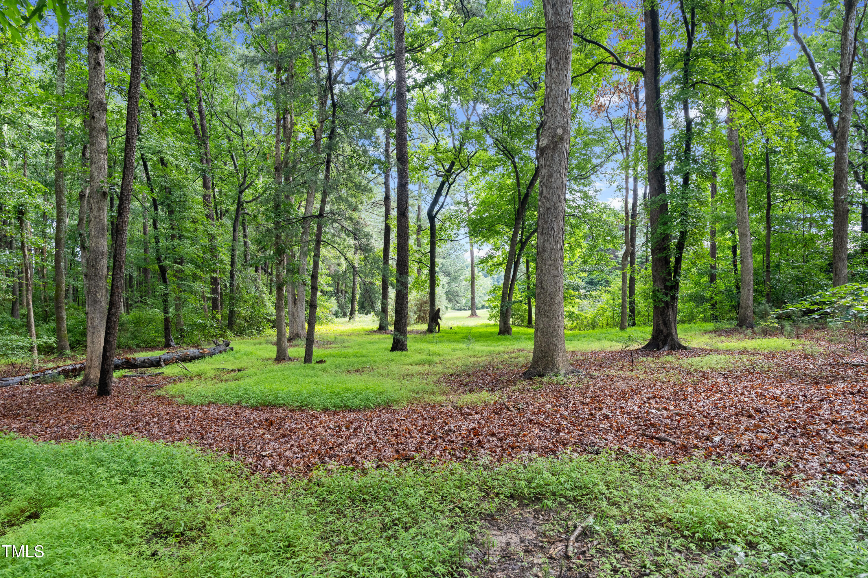 3117 Ten-Ten Road Apex, NC 27539 - Photo 12 of 18 Ten Ten Road-19