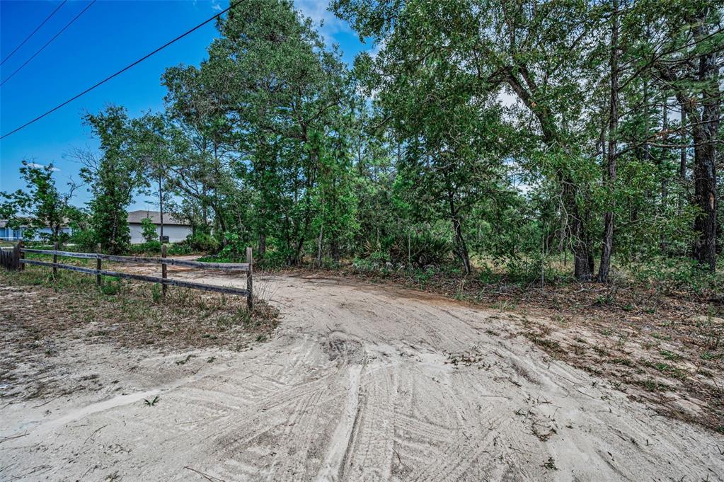 12123 Fulmar Road Weeki Wachee, FL 34614 - Photo 64 of 81