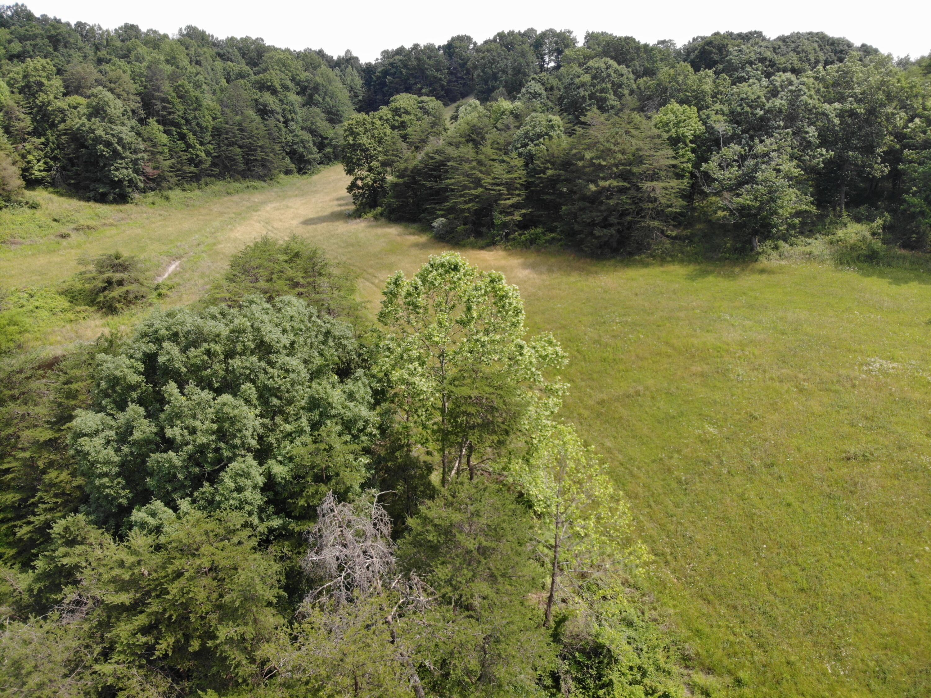 2697 Black Lick Road McKee, KY 40447 - Photo 27 of 29 DJI_0746