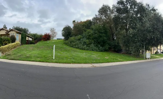a big yard with lots of green space