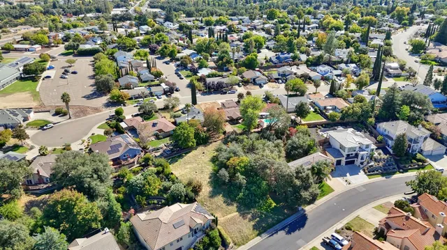 a view of a yard with a tree