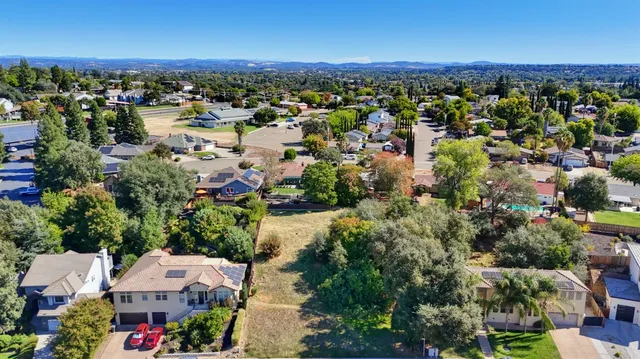 a view of a park with large trees