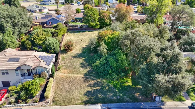 a view of a playground with a plants and large trees