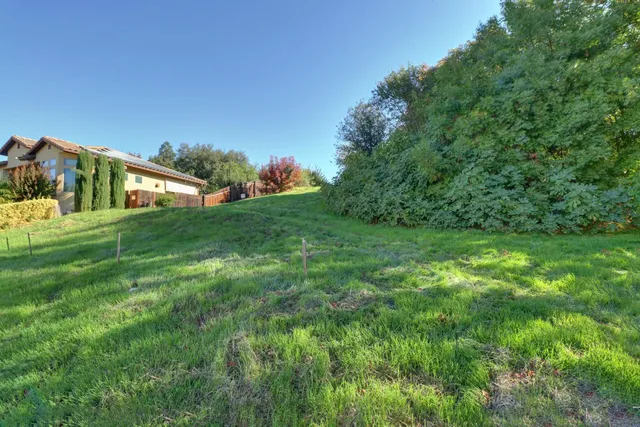 a view of a field of grass and trees