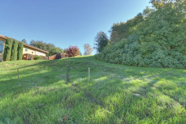 a view of a house with a backyard and a tree