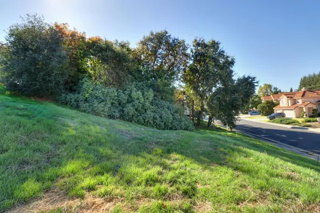 a view of a garden with a building in the back