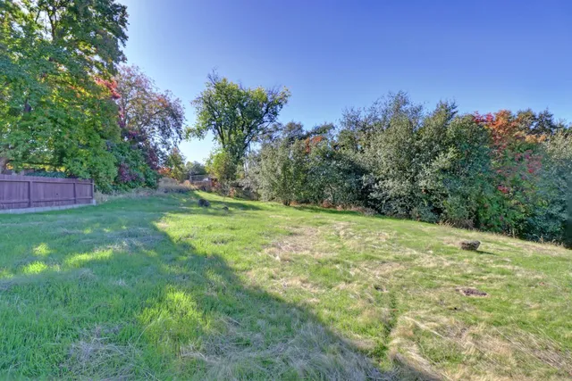 a view of a grassy field