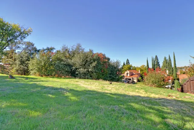 a view of a garden with pathway