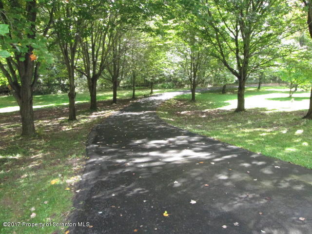 23 Swoyer Road Lake Ariel, PA 18436 - Photo 23 of 28 a view of a yard with large trees
