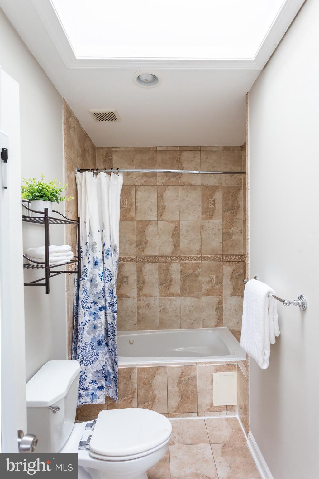 19 Bryant Street Northeast Washington, DC 20002 - Photo 23 of 44 Skylight in primary bath