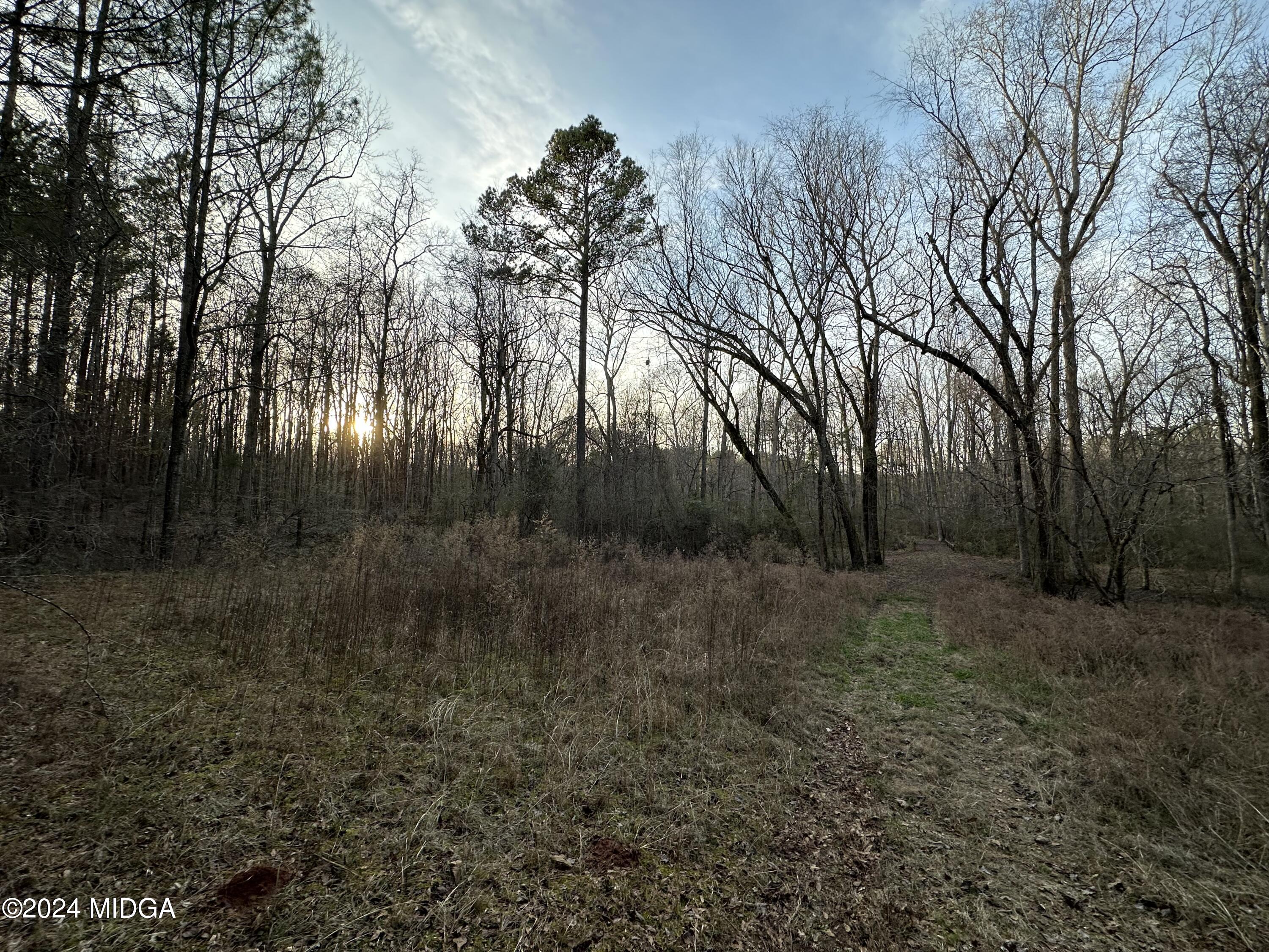 0 Blue Store Road, Unit TRACT 1 Forsyth, GA 31029 - Photo 4 of 15 a view of backyard with green space