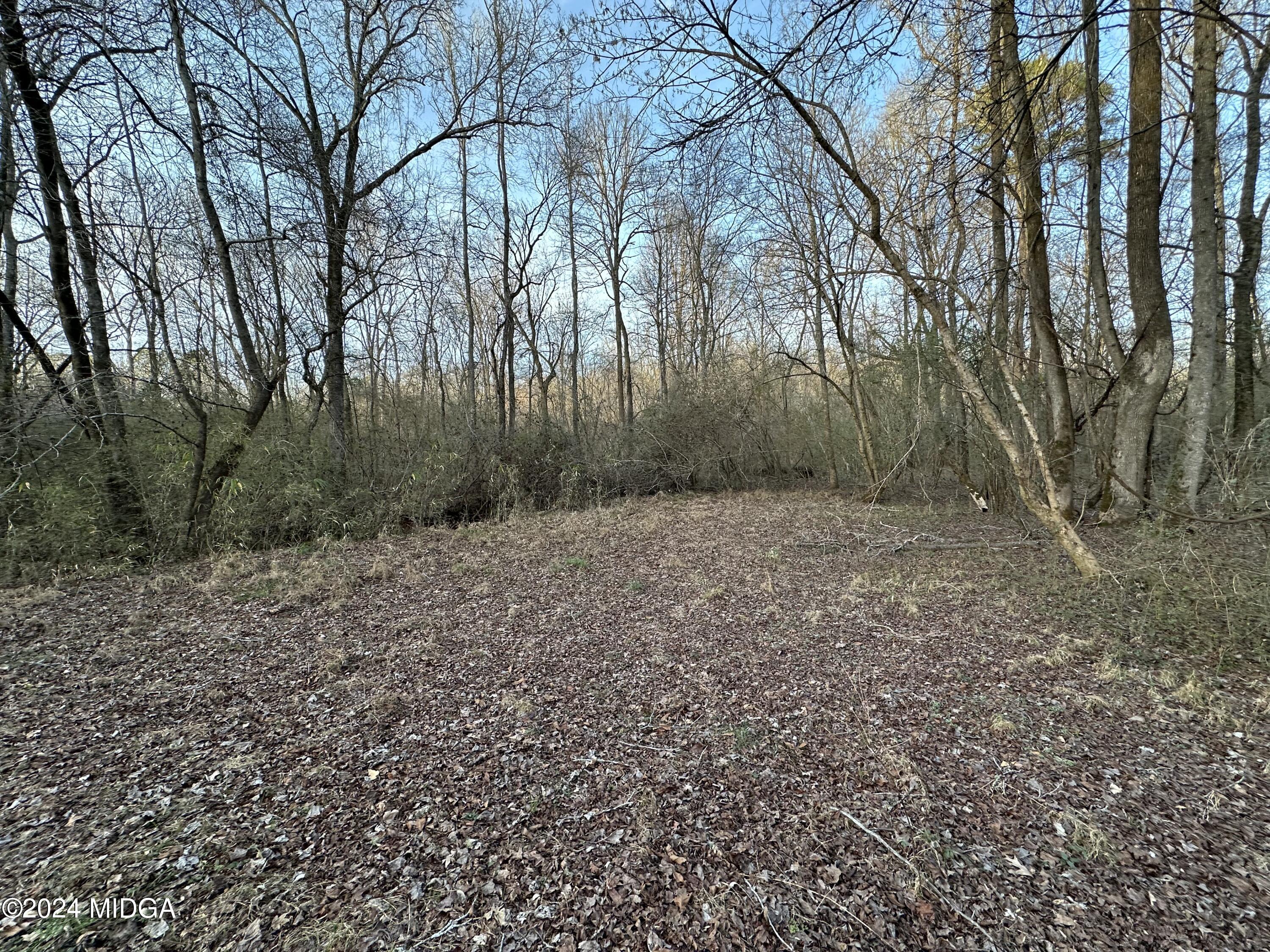 0 Blue Store Road, Unit TRACT 1 Forsyth, GA 31029 - Photo 5 of 15 a view of a yard with large trees